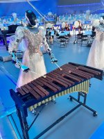 和机器人一起拉琴🎻_1_Xinxin_来自小红书网页版.jpg