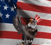 freedom-america.gif freedom-america.gif