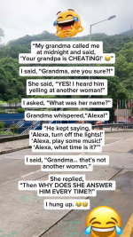 1787938918202.png