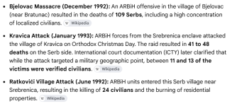 Screenshot 2026-08-30 at 01-04-55 Who was Blagoje Blagojevic who was beheaded in bosnia - Αναζ...png