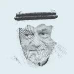 1788198254142.png