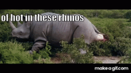 1000560169.gif