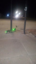 IMG_20260827_033037507.jpg