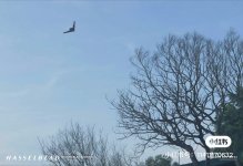 IMG_1035.jpeg
