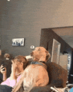 omg.gif
