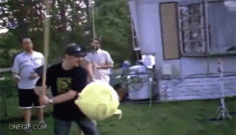1000031320.gif