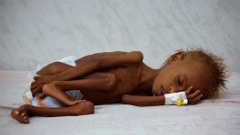 Yemen13.jpg