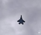 J-35 2x - 齐天的孙猴子 - 2.jpg