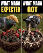 1789251355280.png