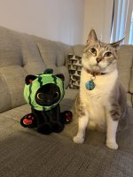 IMG_2512.jpeg