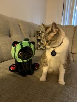 IMG_2510.jpeg