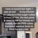 1789396903637.png