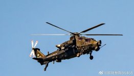 PAA Z-10ME 786-305 - 欧阳振我86468.jpg