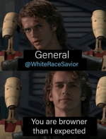 what-did-anakin-mean-by-this-v0-7ew363oci8sc1.png