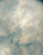 1790346862400.png
