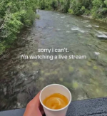 1790427984429.png