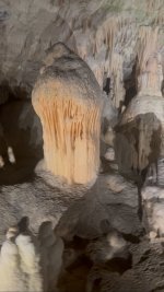 IMG_4130.jpeg