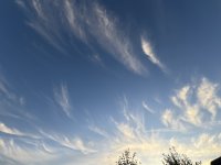 IMG_4100.jpeg