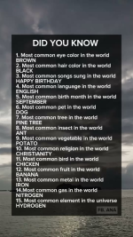 1790596768727.png