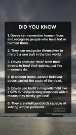 1790596866004.png