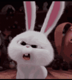 133.gif