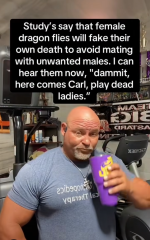 1791485869027.png