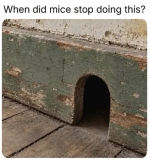 1792527648256.png