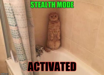 1792971490093.png