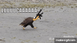 1793126073932.png