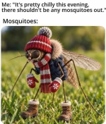 1793132437229.png