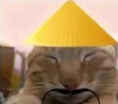 1793133676363.png 1793133676363.png