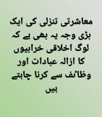 IMG_1924.jpeg