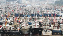 Chinese-fishing-fleet_proc.jpg