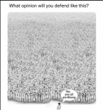 RDT_20240309_1255519017423881324770263.png