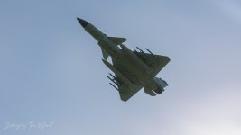 DSC_02532.jpg