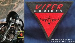 Viper Society 1.jpg