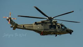 333DSC_0042.jpg