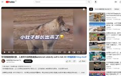微信图片_20231226155824.jpg 微信图片_20231226155824.jpg