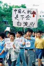 调整大小 1fa9b8e090618dd8ddf81c70cfb35748.jpg