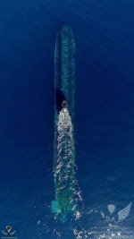 1712888884299.png