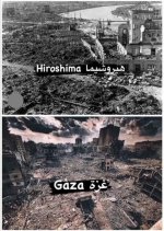 1714357673839.jpeg