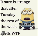 1714601516424.png