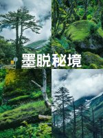 八月的墨脱_可以看看你们墨脱的照片吗_1_安静_来自小红书网页版.jpg
