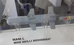 440px-Roketsan_MAM-L_Mini_Akıllı_Mühimmat,_Teknofest_2019.jpg