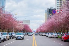 调整大小 13174874f6ie6rn7m0f0ze.jpg