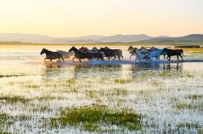 Wulanbutong-Mongolie-Interieure.jpg