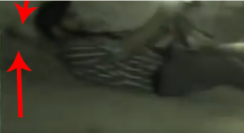 1703768804121.png
