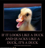 1715625590477.png