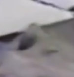 Screenshot_1075.png