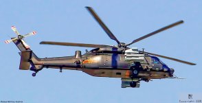 Z-20W1.jpg